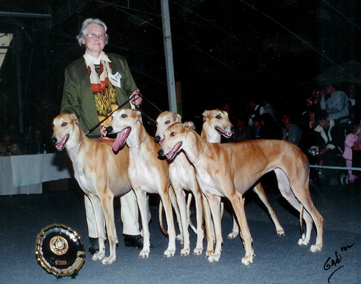 CH. Rusty james De La Haultière