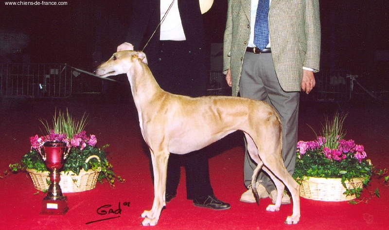 CH. Ryahnna De La Haultière