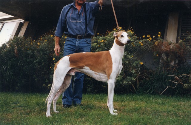 Frenchkiss De La Haultière