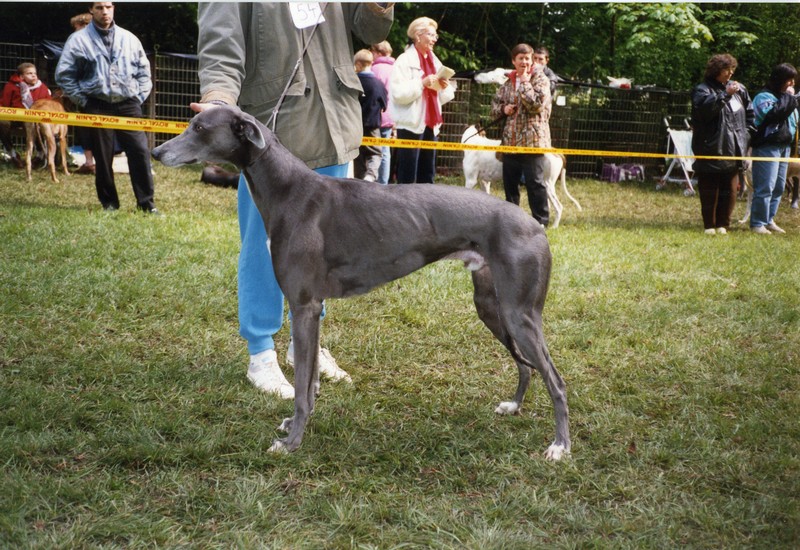 Early king De La Haultière