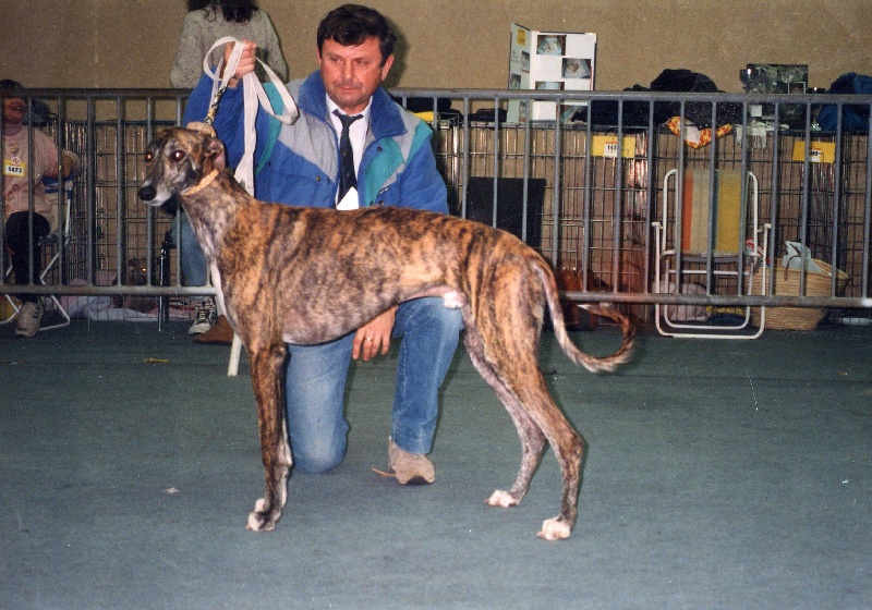 Glinka De La Haultière
