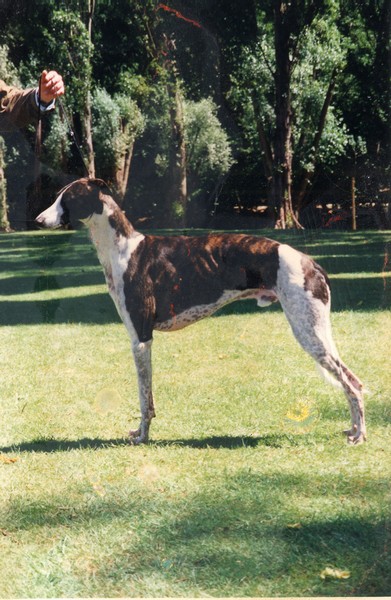 Jamin De La Haultière