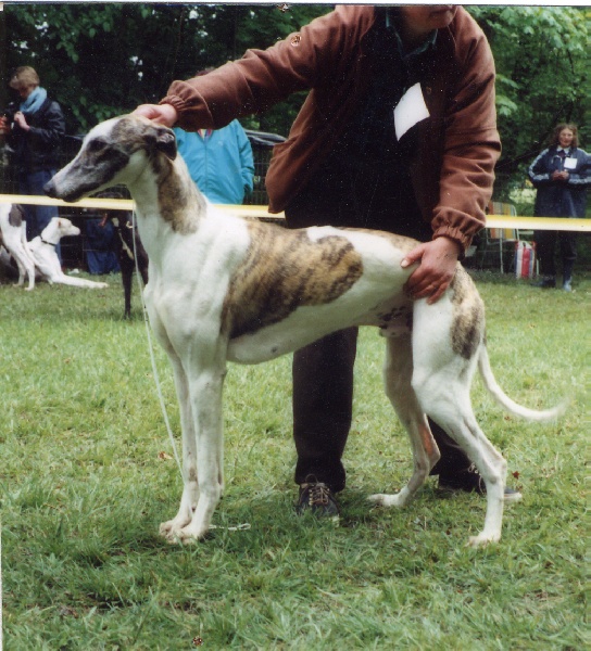 Fakir De La Haultière