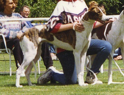 Hetfield De La Haultière
