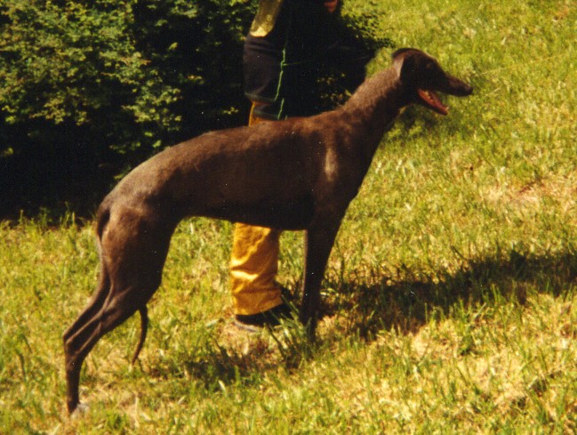 L'kalinka De La Haultière